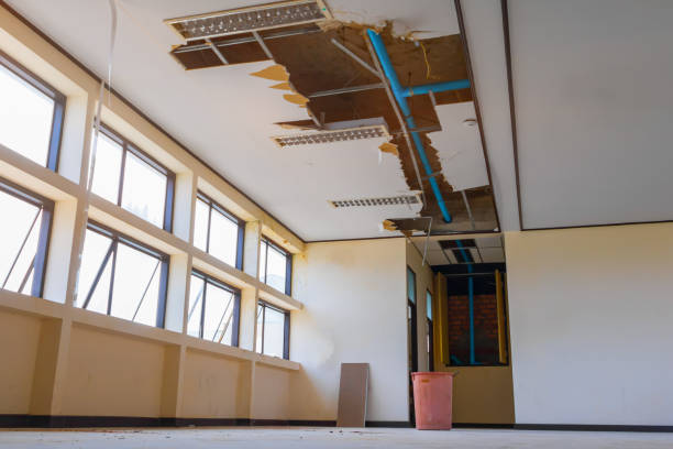  Nissequogue, NY Water damage restoration Pros