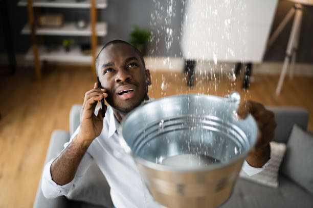 Best Local water damage restoration  in Nissequogue, NY