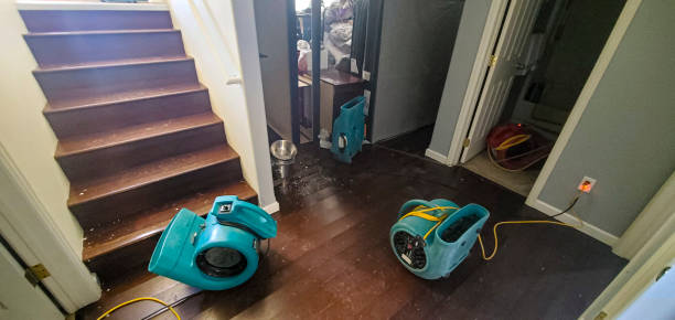 Best Ceiling water damage repair  in Nissequogue, NY