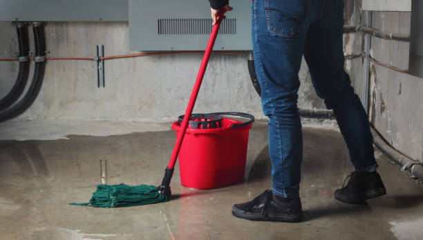 Best Water damage restoration company  in Nissequogue, NY