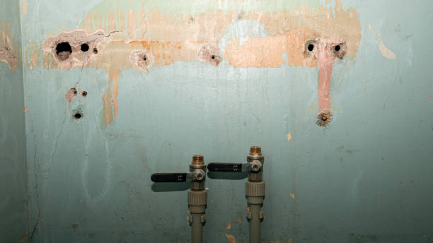 Best Flooded house restoration  in Nissequogue, NY
