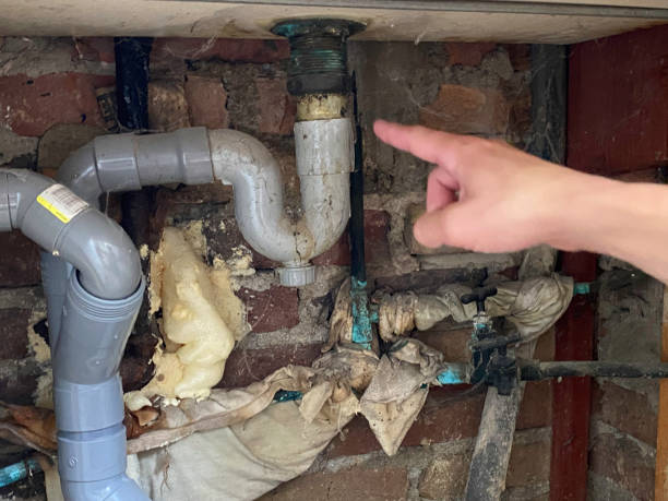 Best Carpet water damage restoration  in Nissequogue, NY