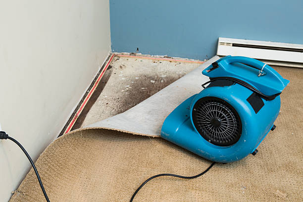 Best Water damage restoration services  in Nissequogue, NY